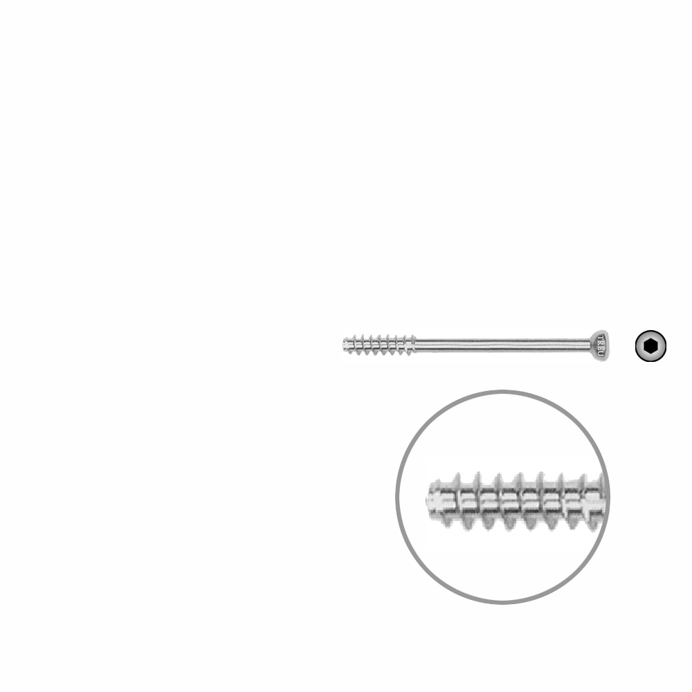 Hohlschraube 4,5 x 40mm HG SELBSTSCHNEIDEND 