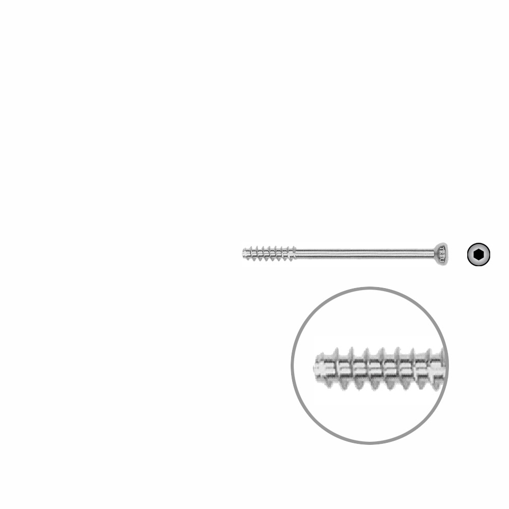 Hollow Screw 4,5 x 42mm half thread SELF TAPPING 