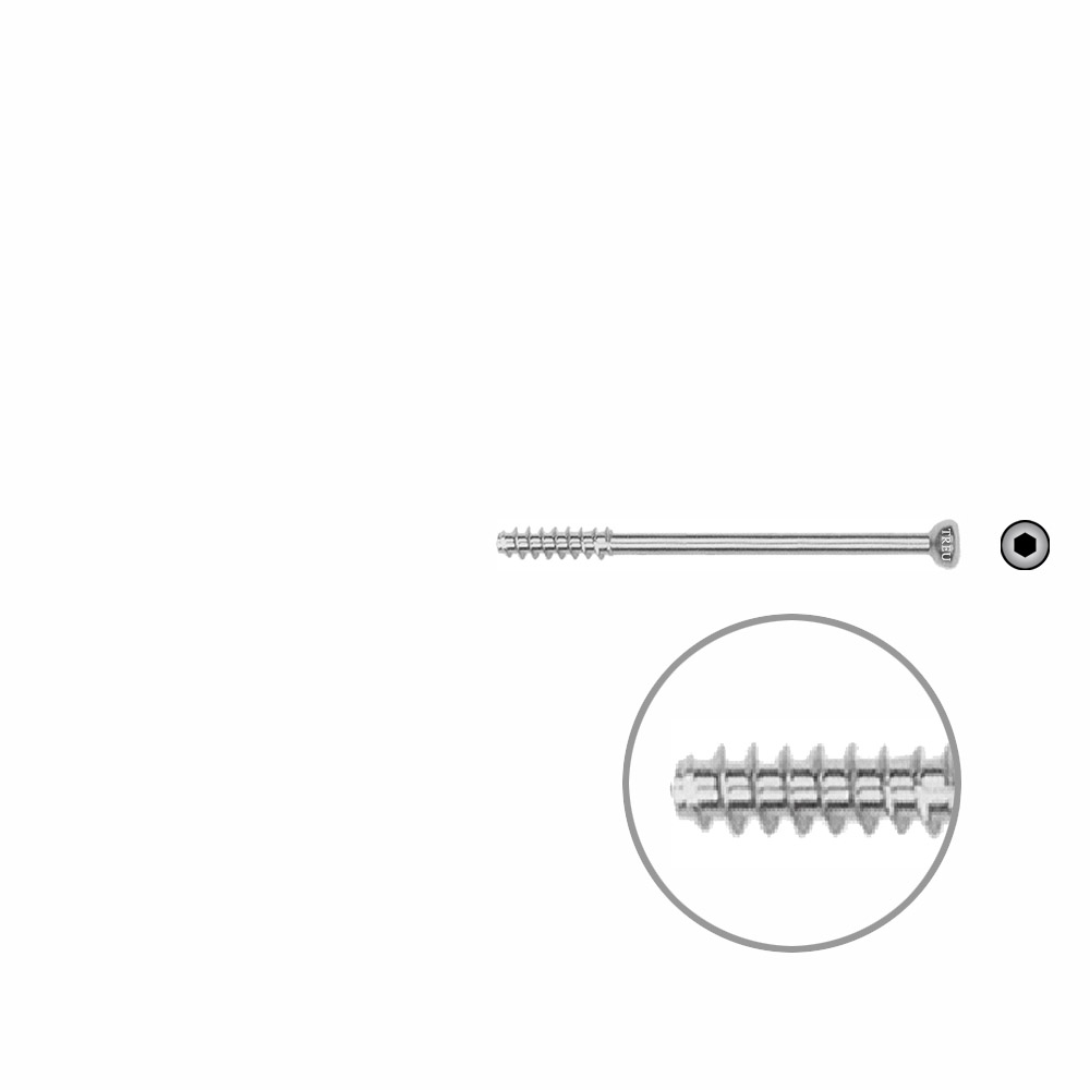 Hollow Screw 4,5 x 44mm half thread SELF TAPPING 