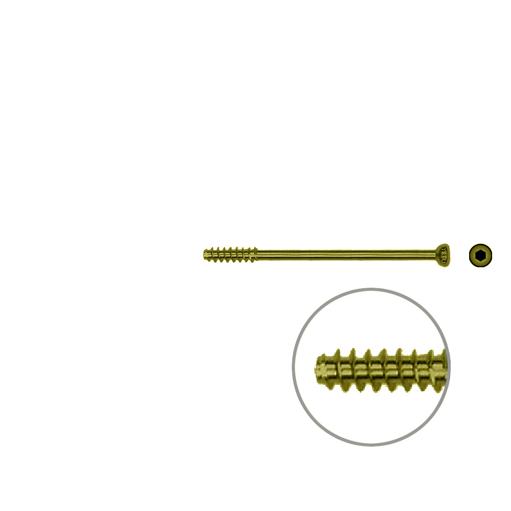 Hollow Screw 4,5 x 50mm half thread SELF TAPPING, TITAN 