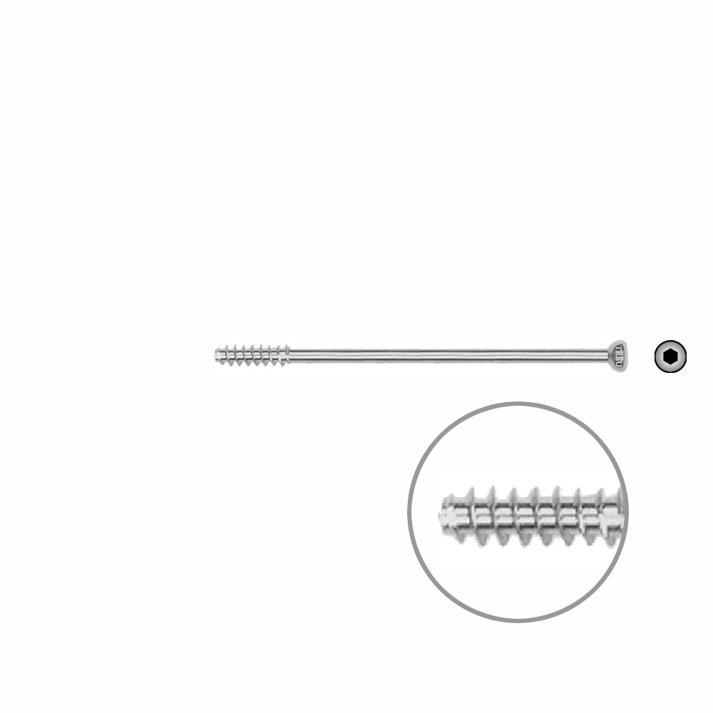 Hohlschraube 4,5 x 60mm HG SELBSTSCHNEIDEND 