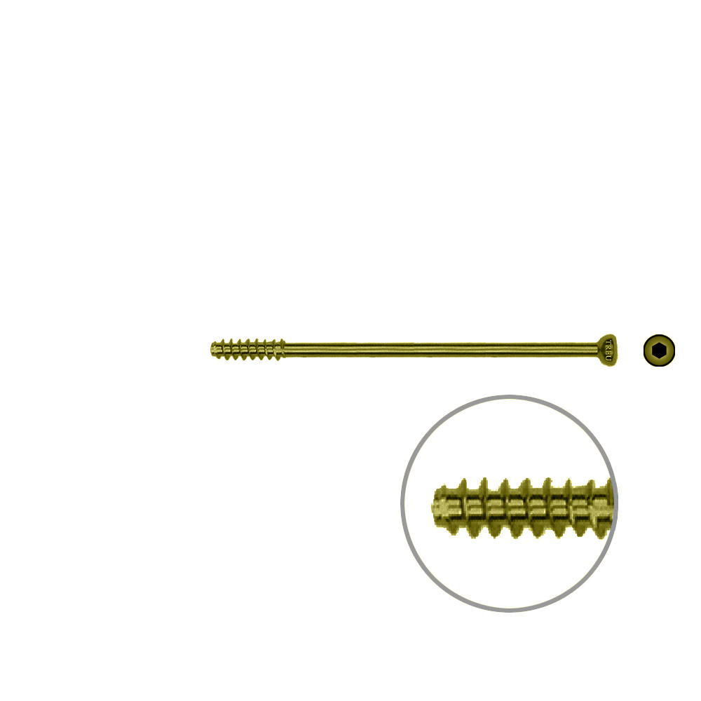 Hohlschraube 4,5 x 60mm HG Selbstschneidend, TITAN 