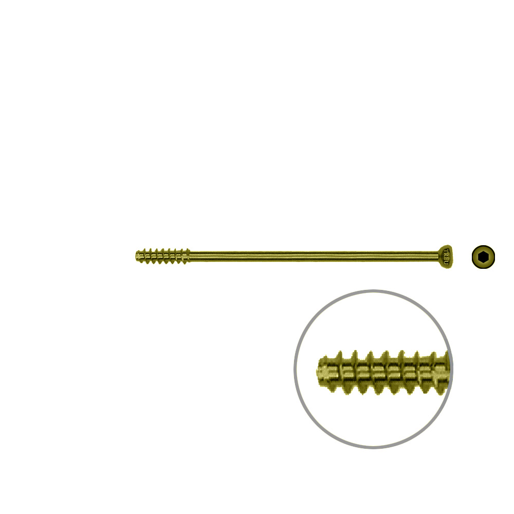 Hollow Screw 4,5 x 64mm half thread SELF TAPPING, TITAN 