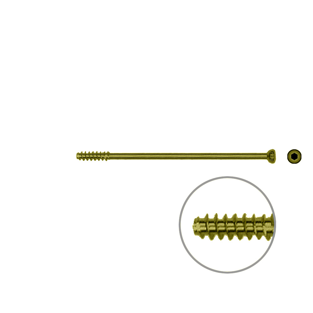 Hollow Screw 4,5 x 66mm half thread SELF TAPPING, TITAN 