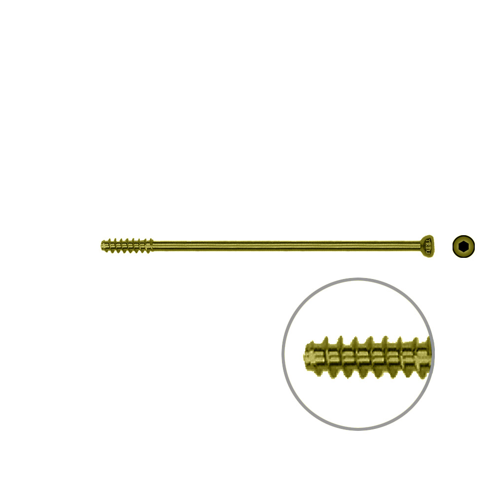 Hohlschraube 4,5 x 70mm HG Selbstschneidend, TITAN 