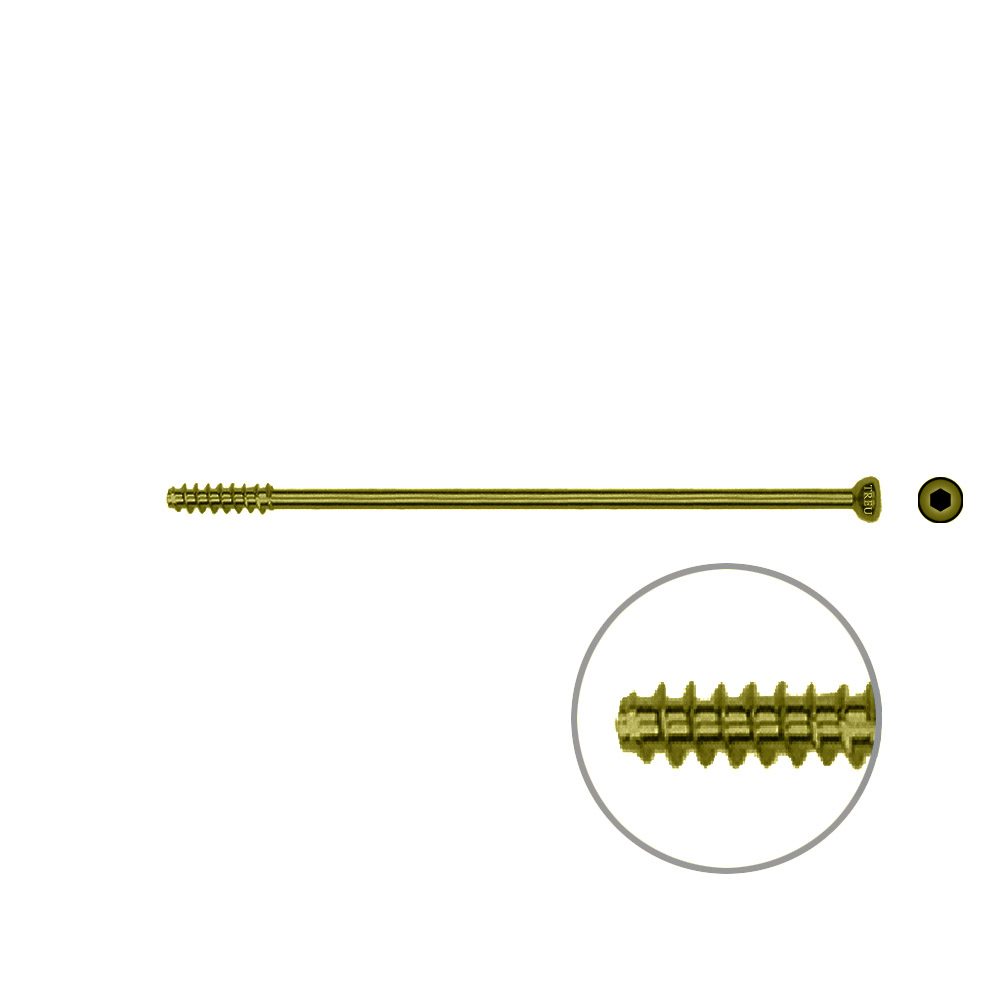 Hollow Screw 4,5 x 74mm half thread SELF TAPPING, TITAN 