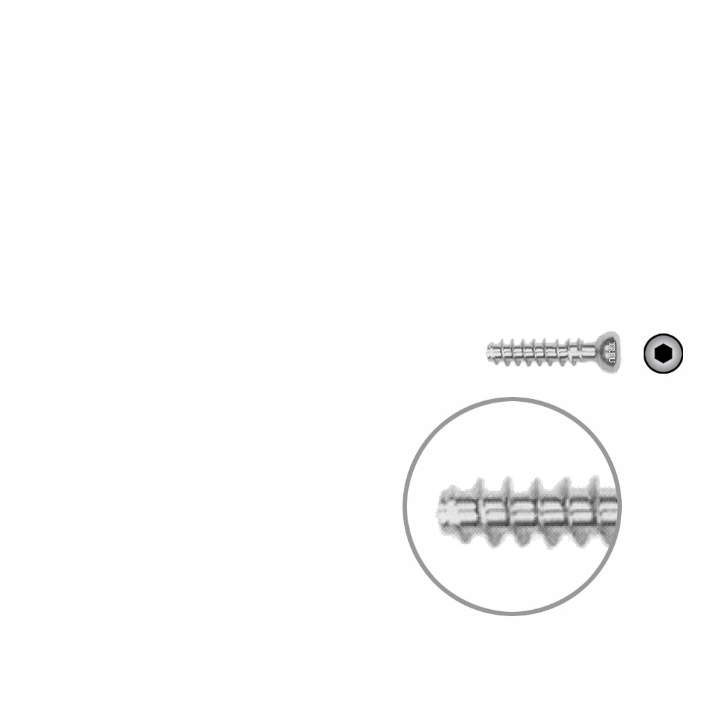 Hollow Screw 4,5 x 20mm full thread SELF TAPPING 