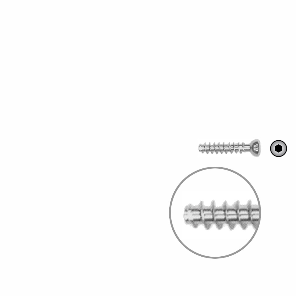 Hollow Screw 4,5 x 22mm full thread SELF TAPPING 