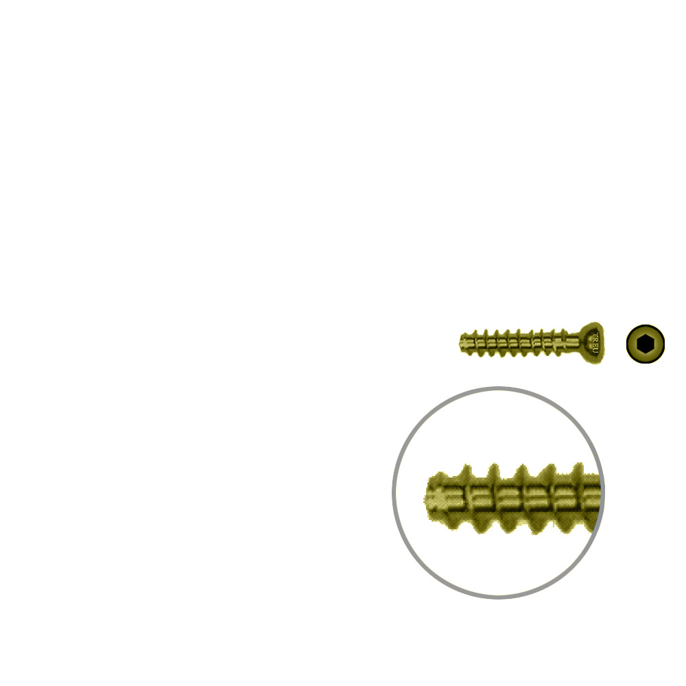 Hollow Screw 4,5 x 22mm full thread SELF TAPPING TITAN 