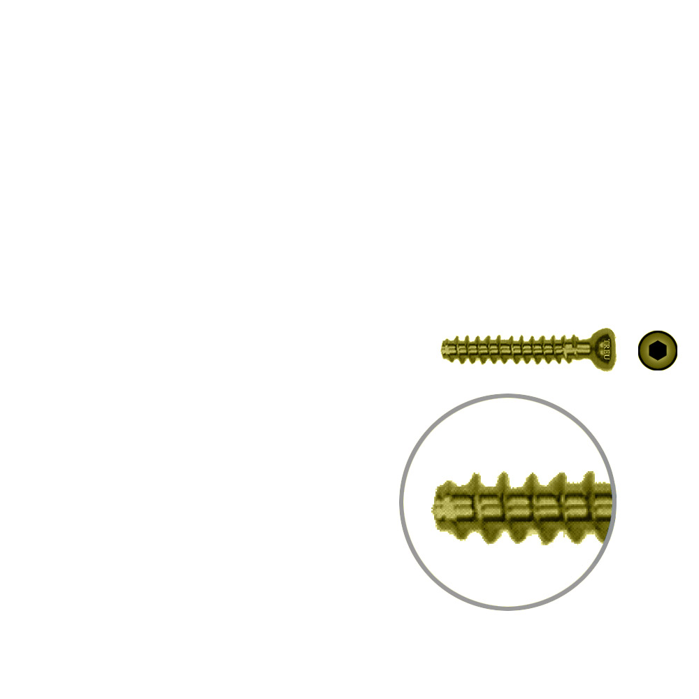 Hollow Screw 4,5 x 26mm full thread SELF TAPPING TITAN 