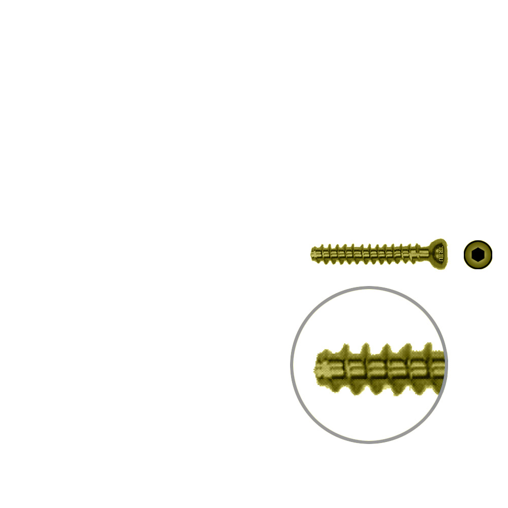 Hollow Screw 4,5 x 28mm full thread SELF TAPPING TITAN 