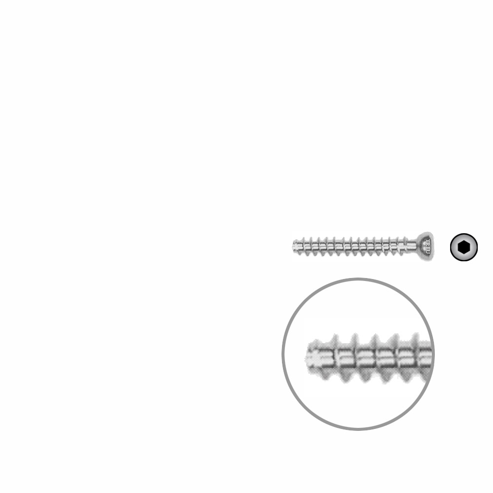 Hollow Screw 4,5 x 30mm full thread SELF TAPPING 