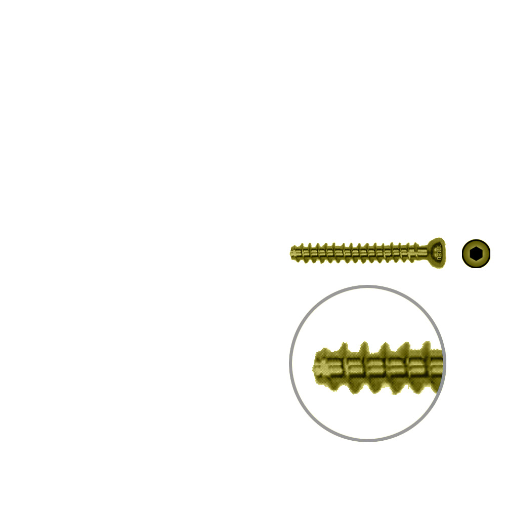 Hollow Screw 4,5 x 32mm full thread SELF TAPPING TITAN 