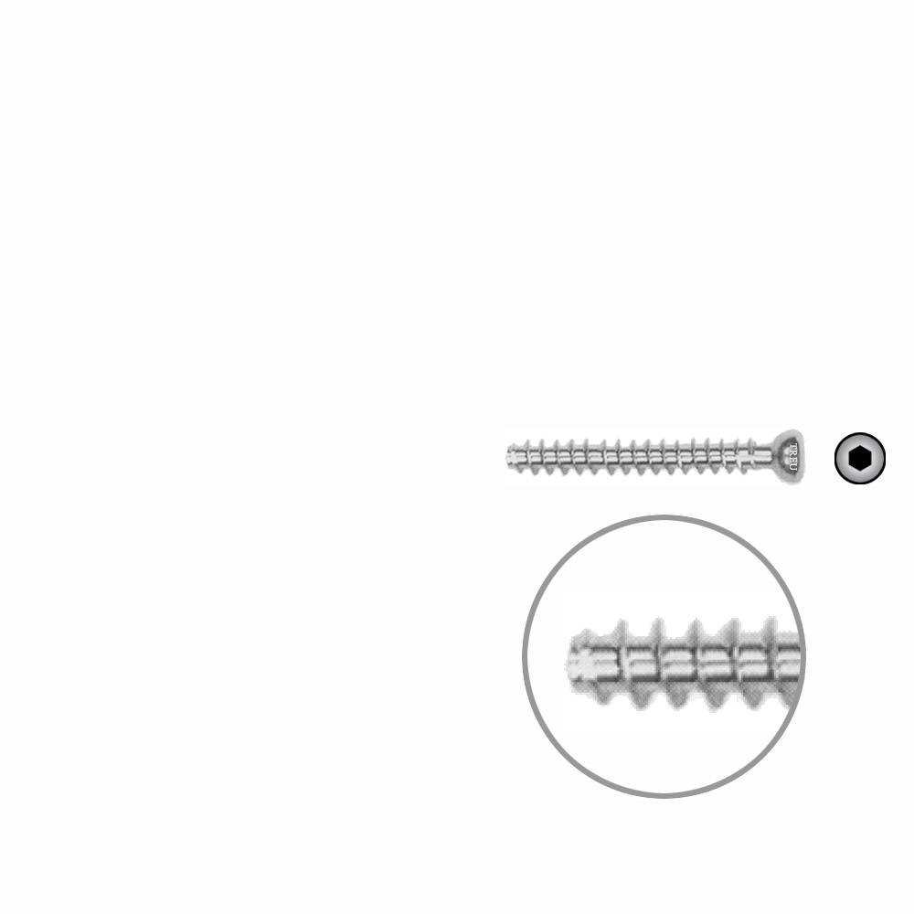 Hollow Screw 4,5 x 34mm full thread SELF TAPPING 