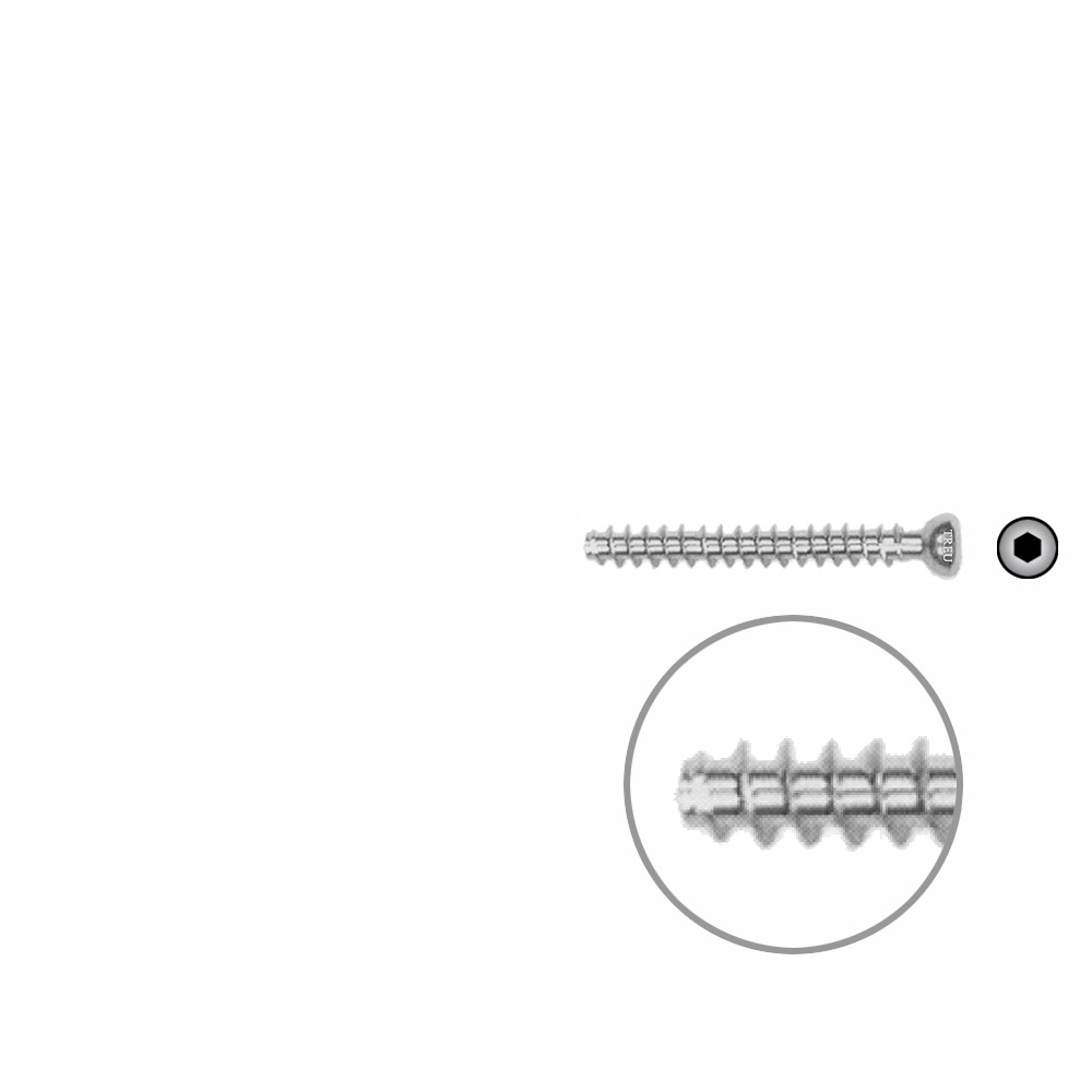 Hollow Screw 4,5 x 36mm full thread SELF TAPPING 