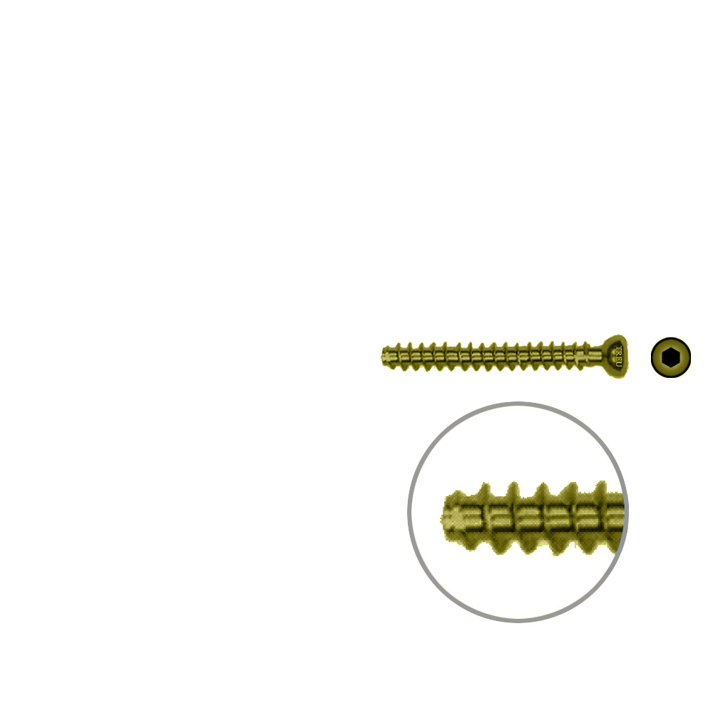 Hollow Screw 4,5 x 36mm full thread SELF TAPPING TITAN 