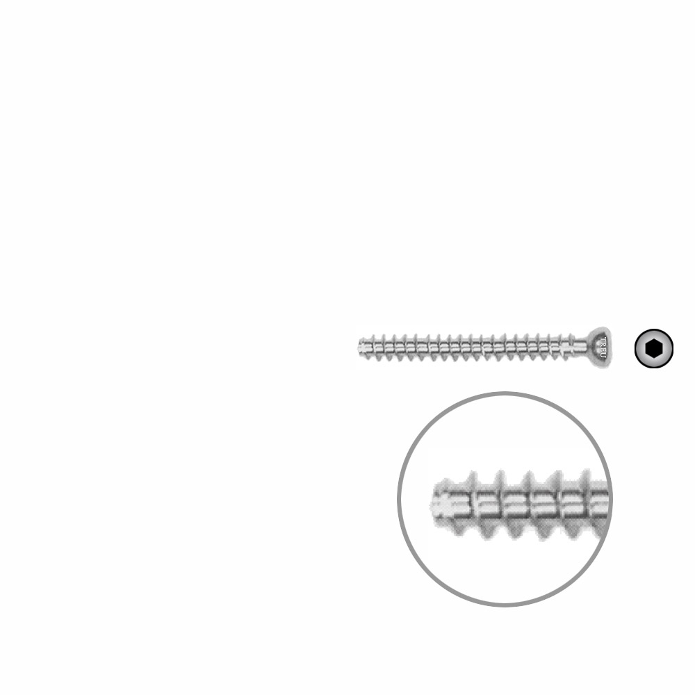 Hollow Screw 4,5 x 38mm full thread SELF TAPPING 