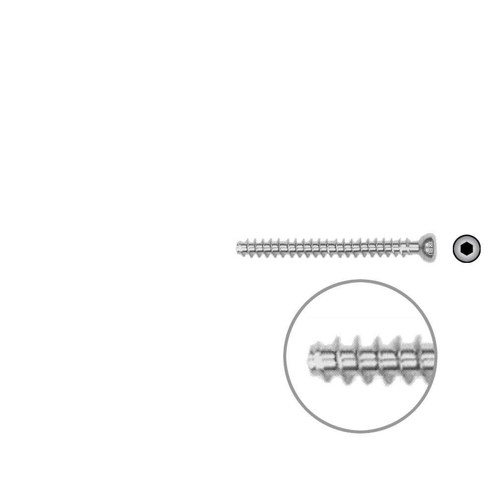 Hollow Screw 4,5 x 42mm full thread SELF TAPPING 