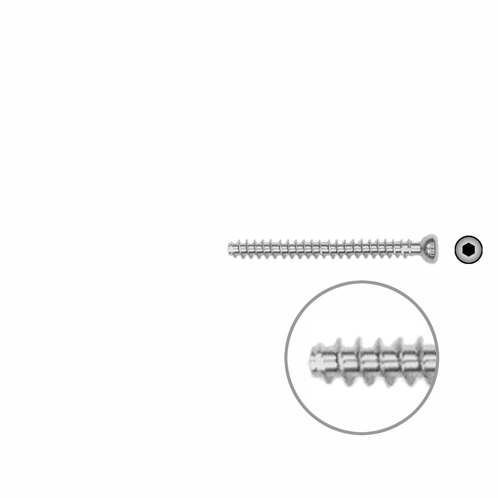 Hollow Screw 4,5 x 44mm full thread SELF TAPPING 