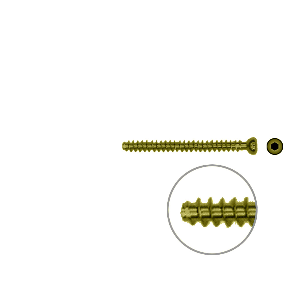 Hollow Screw 4,5 x 48mm full thread SELF TAPPING TITAN 