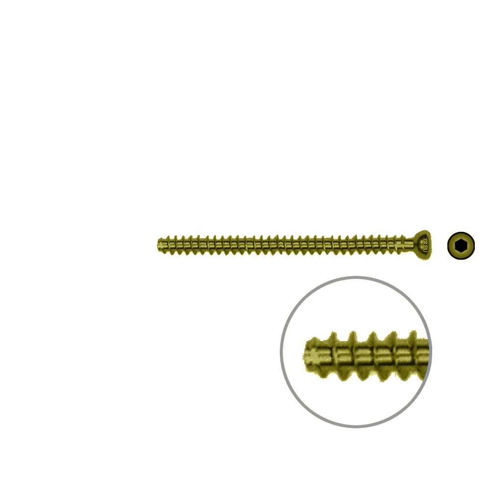 Hollow Screw 4,5 x 58mm full thread SELF TAPPING TITAN 