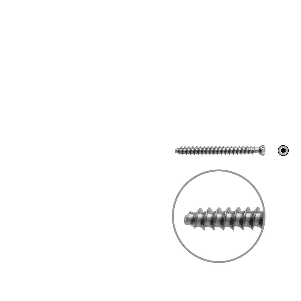 Hollow Screw 7 x 45mm full thr. 