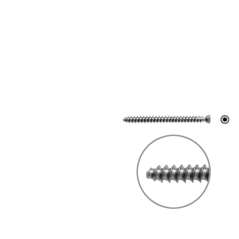 Hollow Screw 7 x 55mm full thr. 