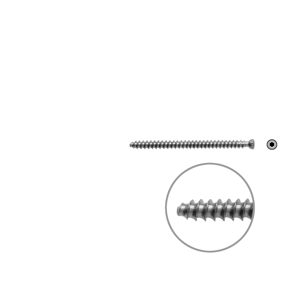 Hollow Screw 7 x 65mm full thr. 