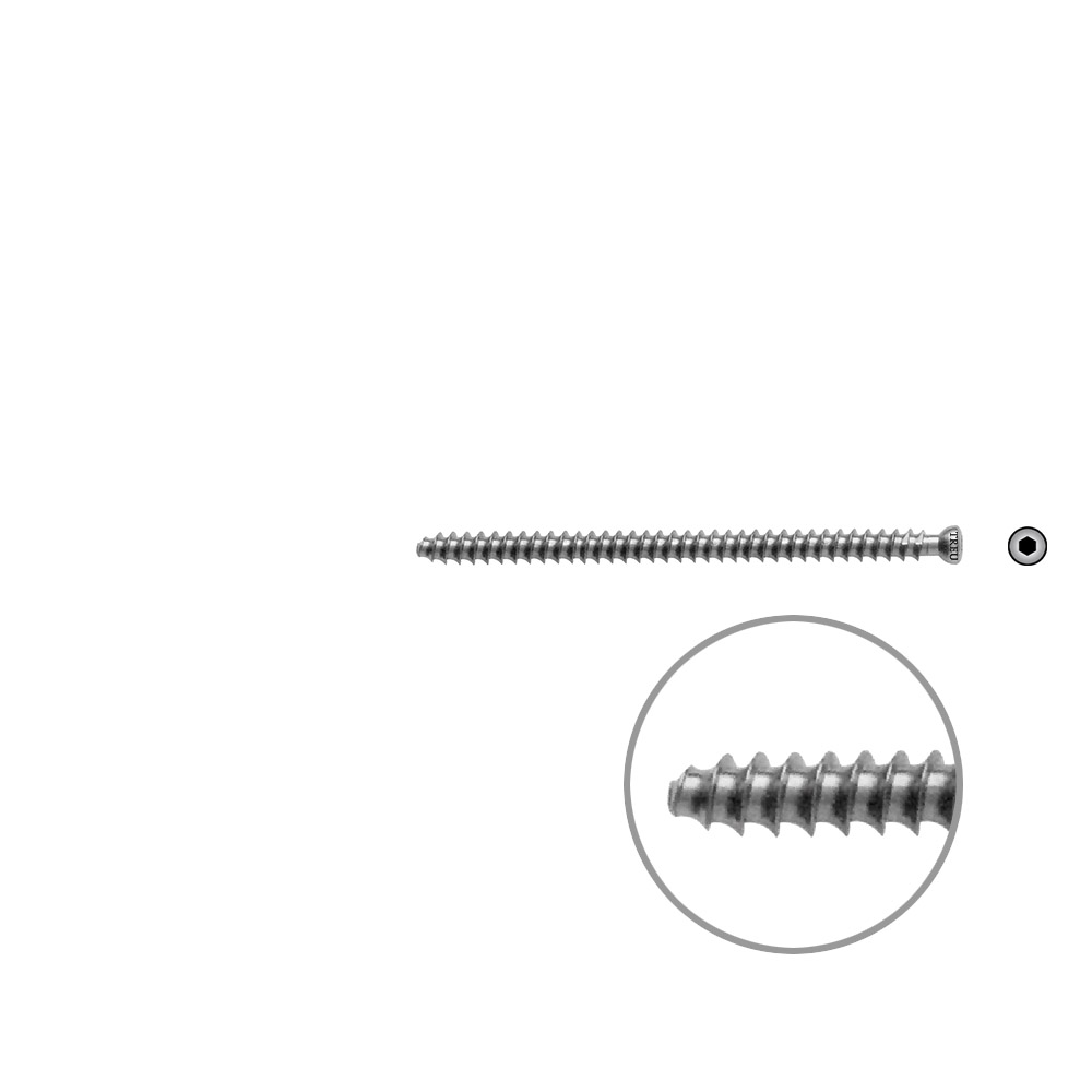 Hollow Screw 7 x 75mm full thr. 