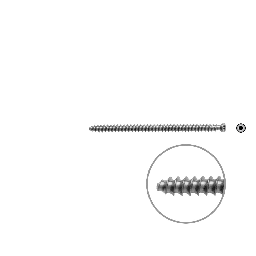 Hollow Screw 7 x 80mm full thr. 