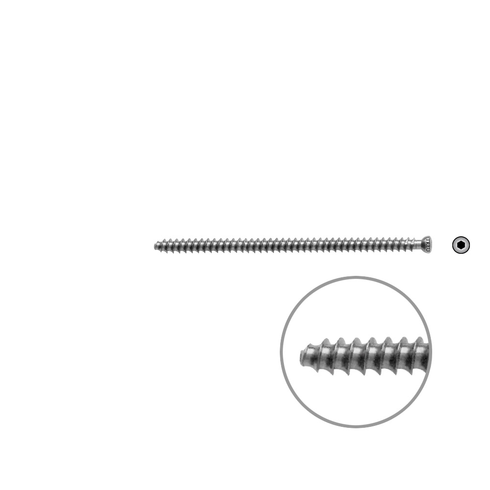 Hollow Screw 7 x 85mm full thr. 