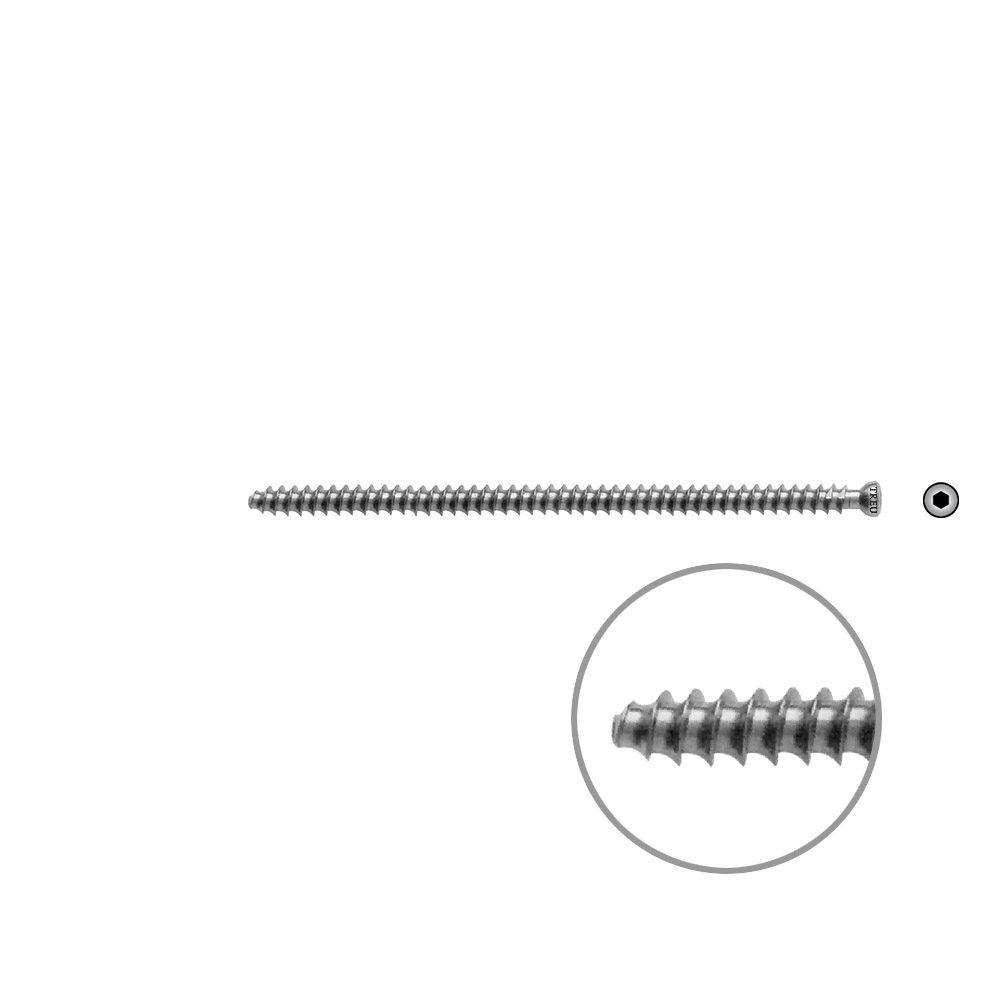 Hollow Screw 7 x 95mm full thr. 