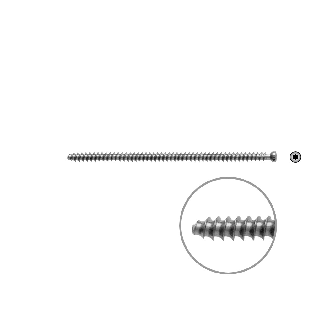 Hollow Screw 7 x 100mm full thr. 