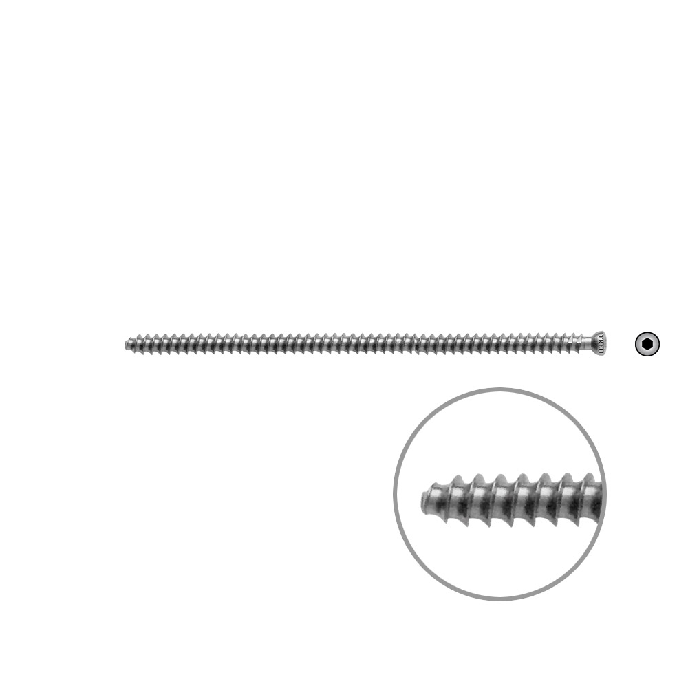 Hohlschraube 7mm Dia x 105mm VG 