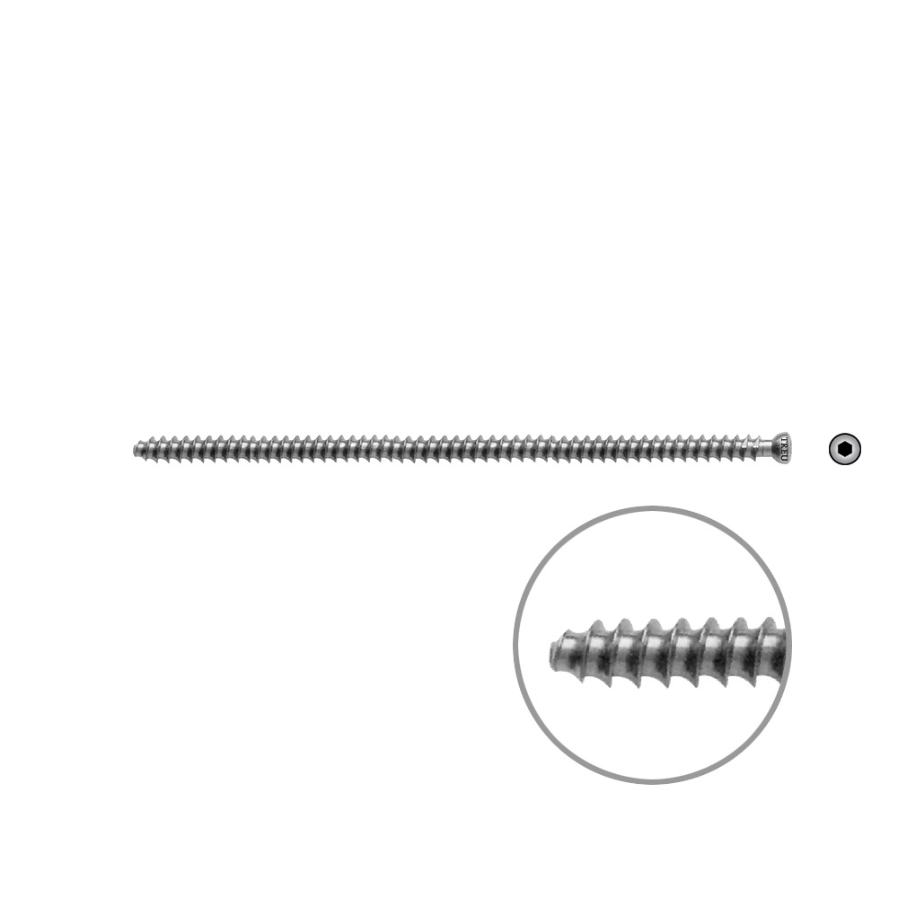 Hollow Screw 7 x 110mm full thr. 