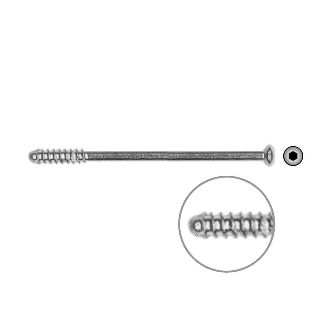 Hollow Screw 3,5 x 55mm thread 16mm SELF TAPPING 