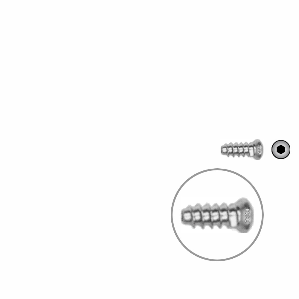 Hollow Screw 3,5 x 10mm full thread SELF TAPPING 