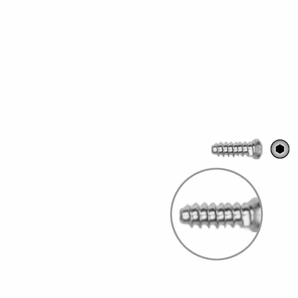 Hollow Screw 3,5 x 12mm full thread SELF TAPPING 