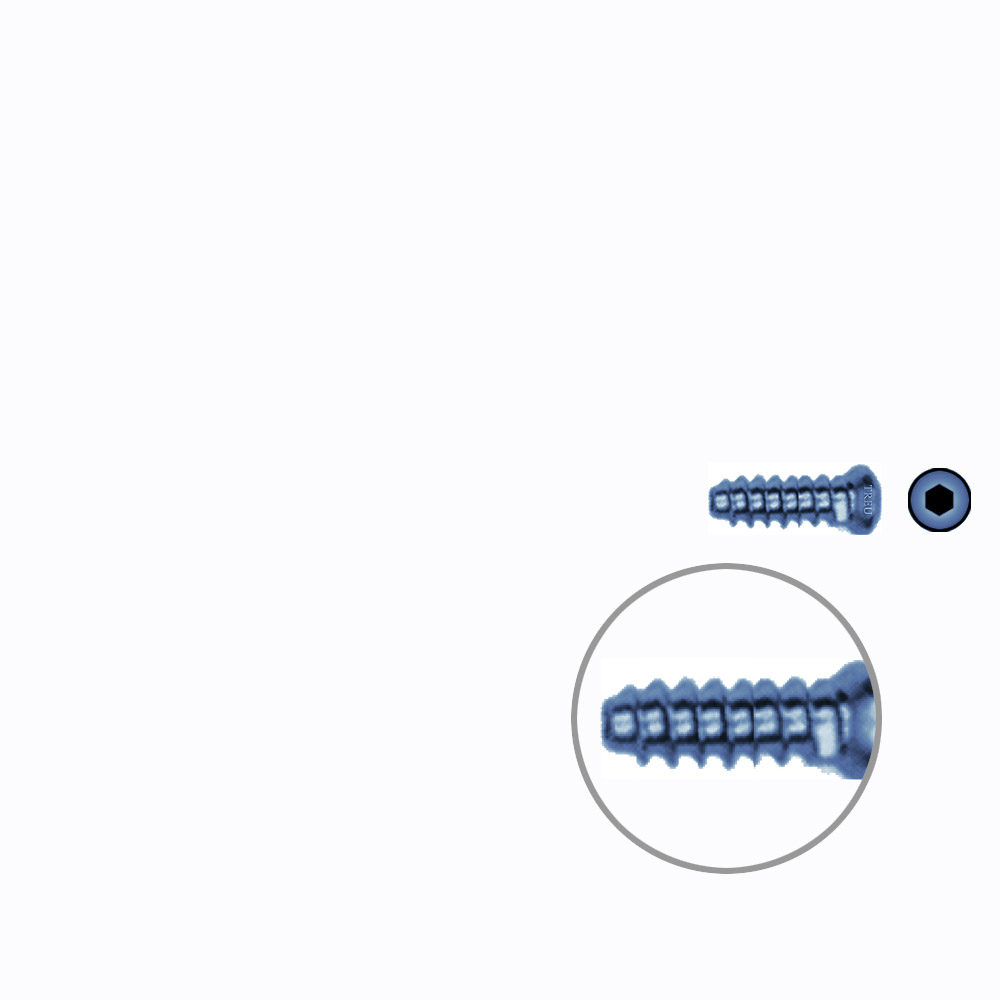 Hollow Screw 3,5 x 12mm full thread SELF TAPPING TITANIUM 