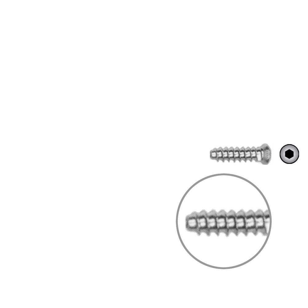 Hollow Screw 3,5 x 14mm full thread SELF TAPPING 