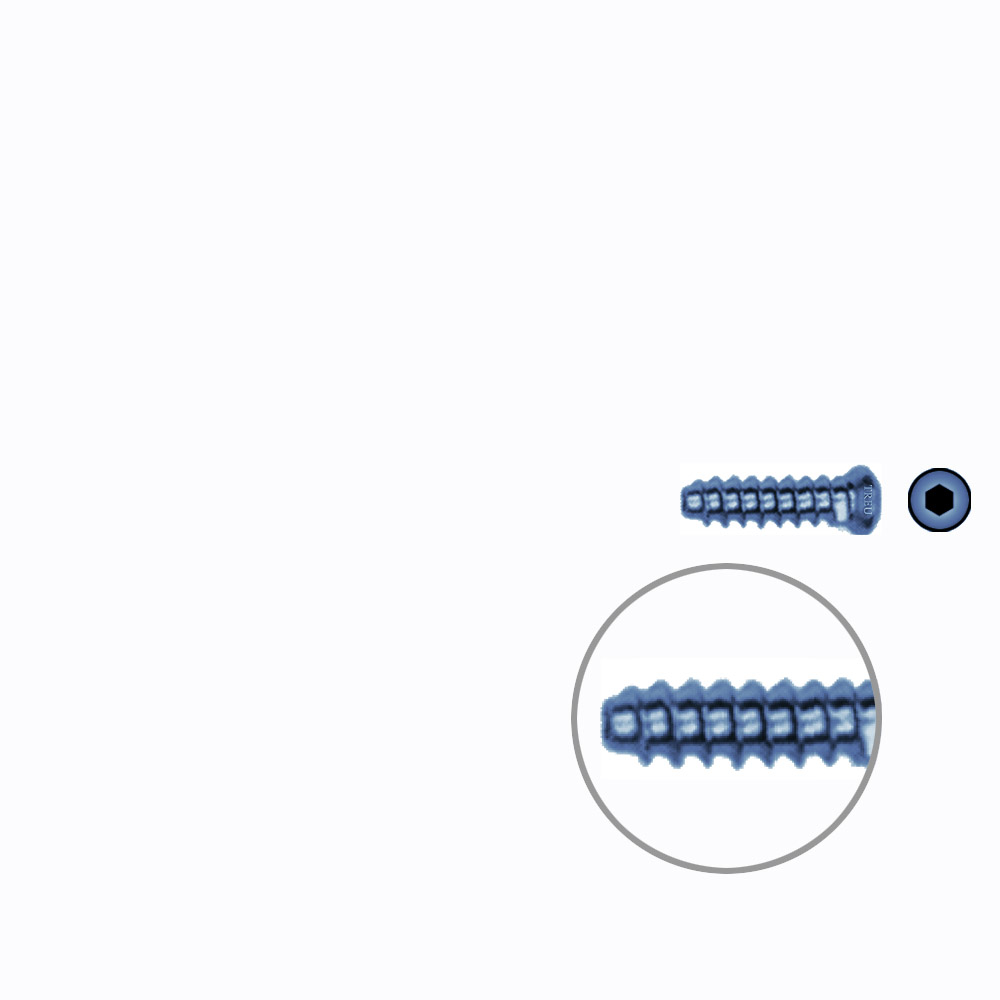 Hollow Screw 3,5 x 14mm full thread SELF TAPPING TITANIUM 