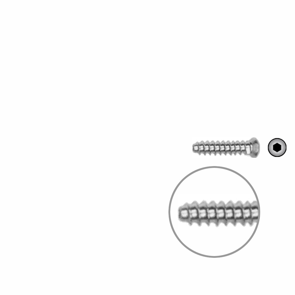 Hollow Screw 3,5 x 16mm full thread SELF TAPPING 