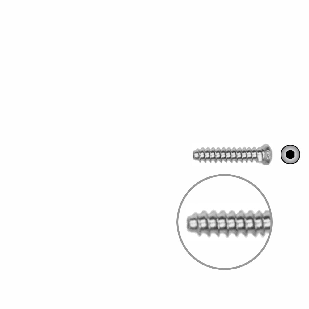 Hollow Screw 3,5 x 18mm full thread SELF TAPPING 