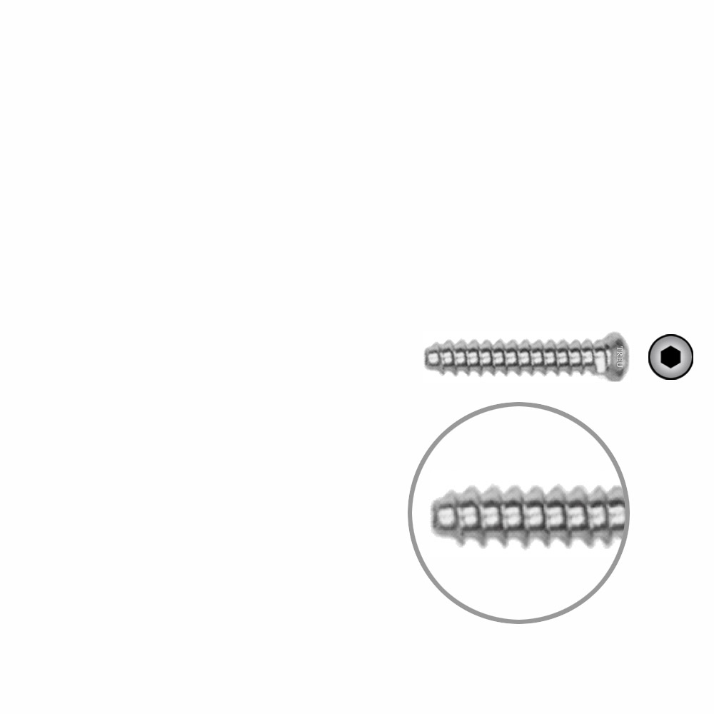 Hollow Screw 3,5 x 20mm full thread SELF TAPPING 