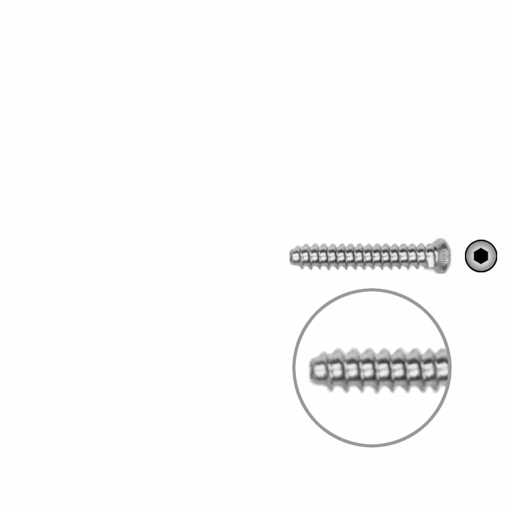 Hollow Screw 3,5 x 22mm full thread SELF TAPPING 