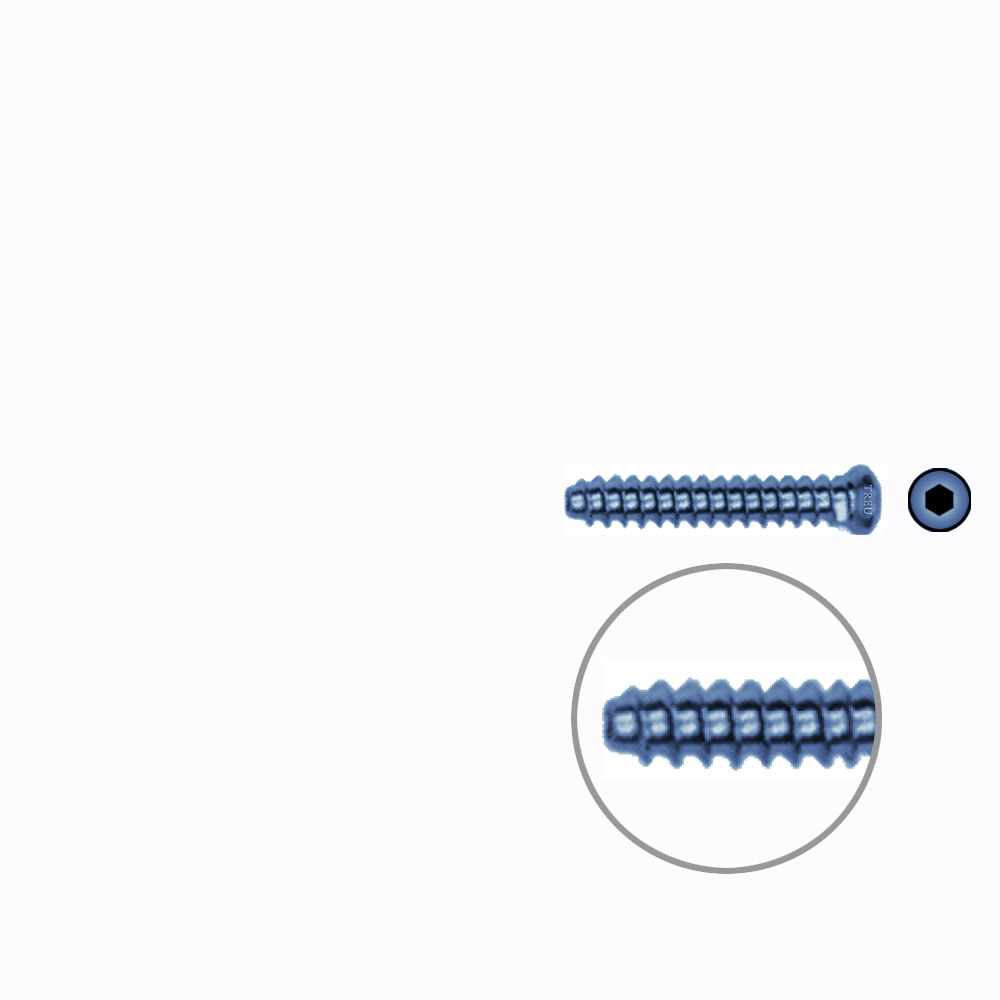 Hollow Screw 3,5 x 22mm full thread SELF TAPPING TITANIUM 