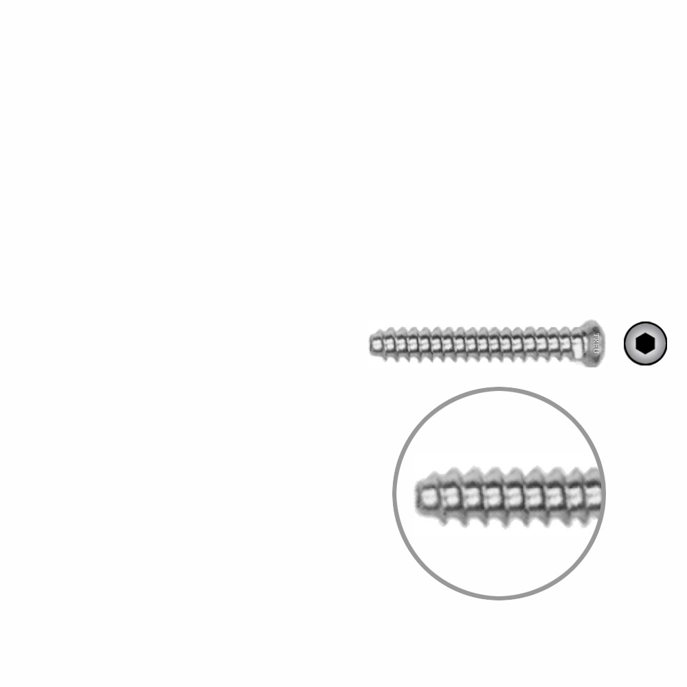 Hollow Screw 3,5 x 24mm full thread SELF TAPPING 