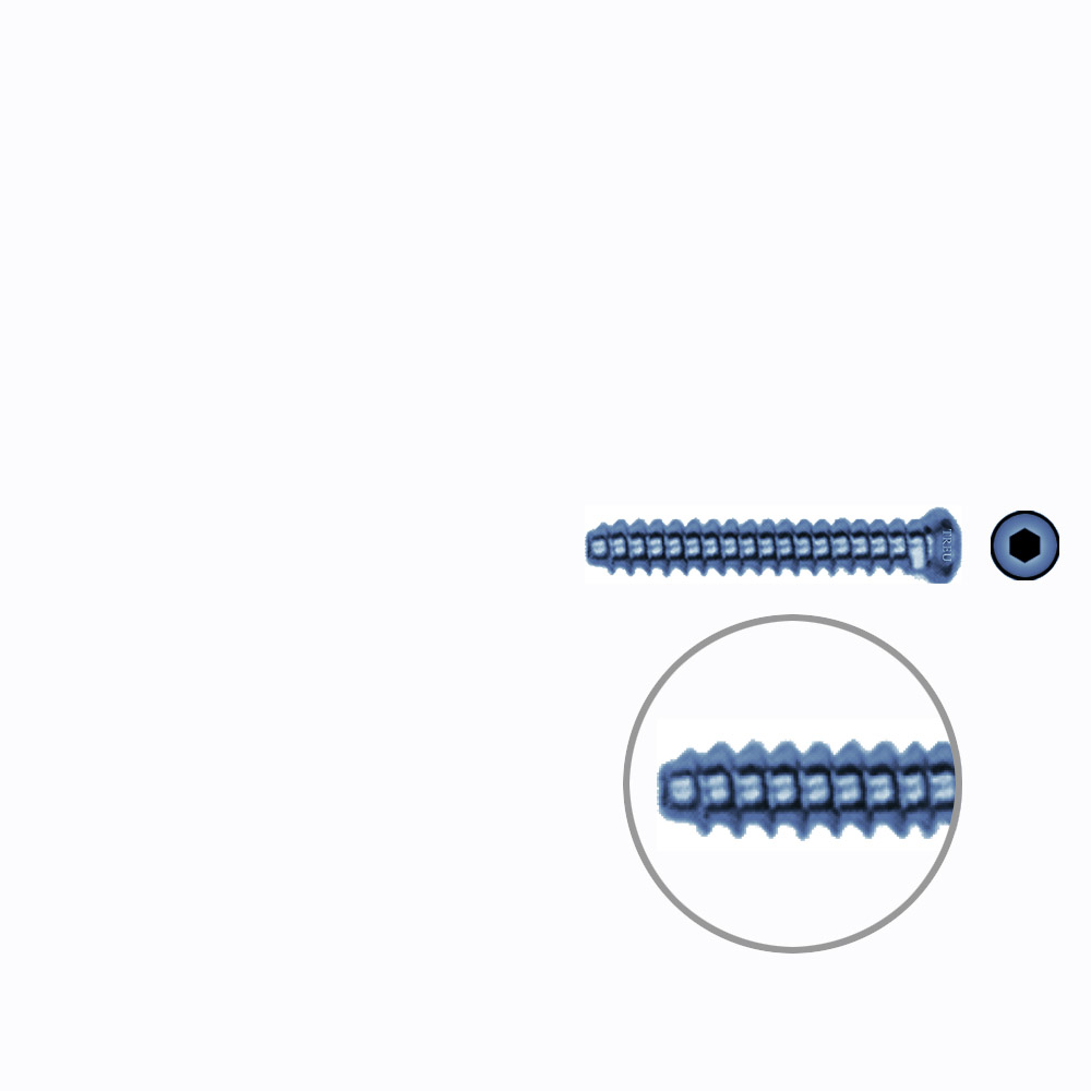 Hollow Screw 3,5 x 24mm full thread SELF TAPPING TITANIUM 