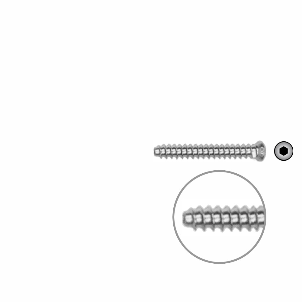 Hollow Screw 3,5 x 26mm full thread SELF TAPPING 