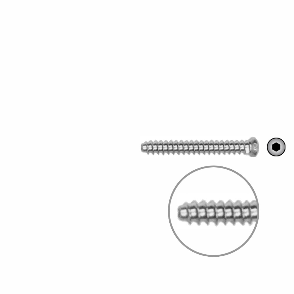 Hollow Screw 3,5 x 28mm full thread SELF TAPPING 